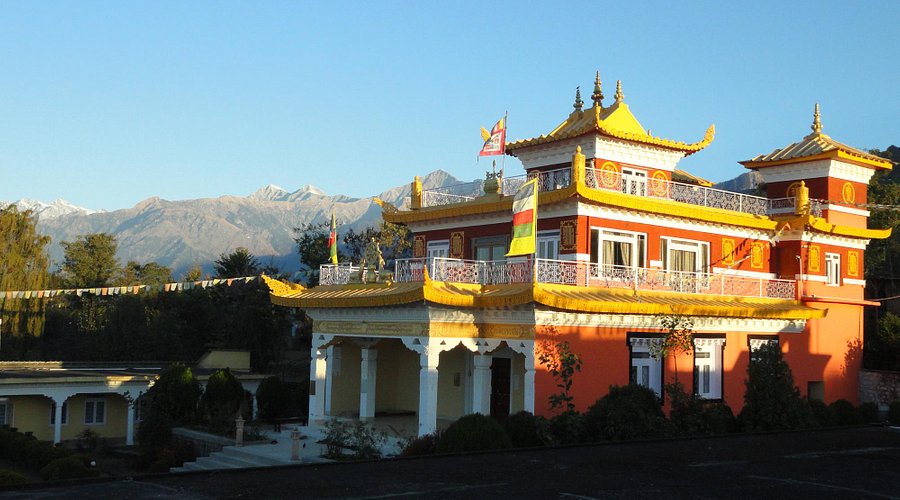deer park institute